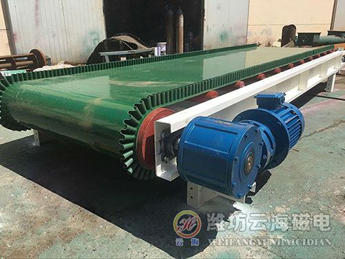 DTII belt conveyor